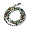 Natural African Turquoise(Jasper) Beads Strands G-F717-01-3