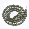 Natural Green Apatite Beads Strands G-T108-33-2