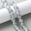 Natural Selenite Beads Strands G-C142-01B-13-2