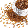 Transparent Glass Bugle Beads SEED-N005-001-C07-1