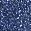 6/0 Glass Seed Beads X2-SEED-A005-4mm-26-2