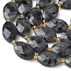 Natural Larvikite Beads Strands G-A295-A03-01-4