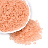 FGB Frosted Transparent Glass Seed Beads SEED-N013-06A-04-1