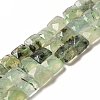 Natural Prehnite Beads Strands G-C109-A05-02-1