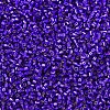MIYUKI Delica Beads X-SEED-J020-DB0610-3