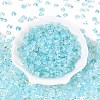 Baking Paint Transparent Glass Beads DGLA-T004-07E-1