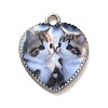 Alloy Pendant FIND-H045-08P-02-1