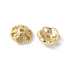 Flower Brass Bead Caps KK-F892-34G-10-1