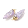 Rainbow Iridescent Plating Resin Pendants RESI-C047-03E-G-2