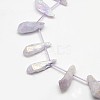 Electroplate Gemstone Natural Quartz Crystal Beads Strands G-L135-11-2
