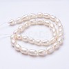 Natural Cultured Freshwater Pearl Beads Strands PEAR-P002-13-01-2