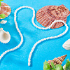 1 Strand Natural Trochus Shell Rondelle Beads Strands SSHEL-TA0001-16A-5
