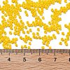 Frosted Colours Glass Seed Beads SEED-H003-06D-4