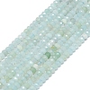 Natural Flower Amazonite Beads Strands G-G106-A16-01-1