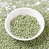 MIYUKI Round Rocailles Beads SEED-G008-RR4473-2