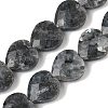 Natural Larvikite Beads Strands G-A309-A18-01-2
