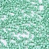 FGB 11/0 Grade A Baking Paint Glass Seed Beads SEED-S030-1036-2