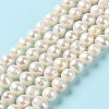 Natural Cultured Freshwater Pearl Beads Strands PEAR-E018-04-2