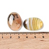 Natural Striped Agate/Banded Agate Cabochons G-H296--01D-04-3