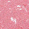 Baking Paint Glass Seed Beads X-SEED-S042-05B-86-3
