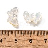 Natural White Shell Beads BSHE-Z008-01-4