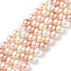 Shell Pearl Bead Strands BSHE-L017-11-1