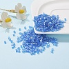 6/0 Glass Seed Beads SEED-YW0001-25I-5