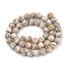 Natural Gemstone Beads Strands G-T106-243-3