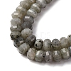 Natural Labradorite Beads Strands G-P587-D13-02-4