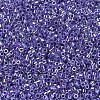 MIYUKI Delica Beads SEED-X0054-DB0250-3