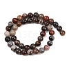 Natural Petrified Wood Round Bead Strands G-F266-08-8mm-6
