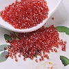 MIYUKI Delica Beads SEED-MY11-DB0098-1