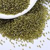 MIYUKI Delica Beads SEED-MY11-DB2164-1