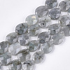 Natural Labradorite Beads Strands G-S354-07-1