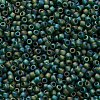 TOHO 11/0 Round Beads X-SEED-TR11-0179F-2