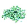 Natural Sea Shell Beads SSHEL-Q299-017D-2