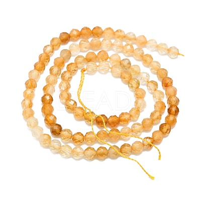 Heated Natural Citrine Beads Strands G-P457-A03-22-1
