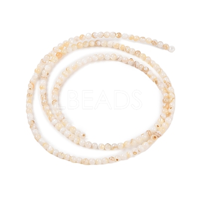 Natural Freshwater Shell Beads Strands X-SHEL-T011-02-4mm-1