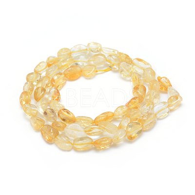Natural Citrine Beads Strands G-P331-03A-1