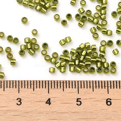 Glass Seed Beads X-SEED-S042-04B-25-1