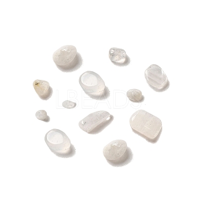Natural White Moonstone Beads G-O103-32-1