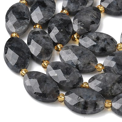 Natural Larvikite Beads Strands G-A295-A03-01-1