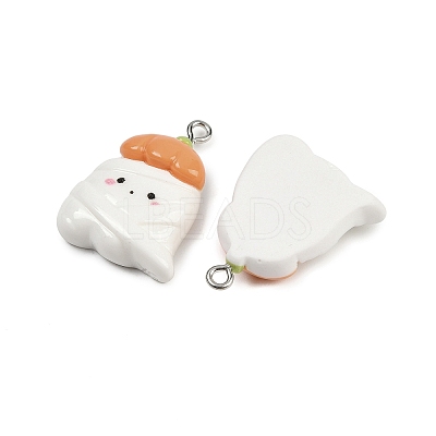 Halloween Opaque Resin Pendants RESI-C062-02F-1