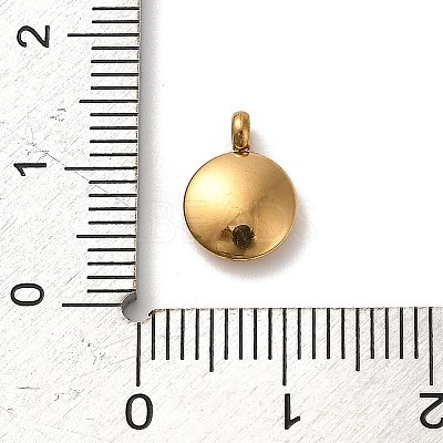 304 Stainless Steel Black Enamel Charms STAS-R009-02G-03-1