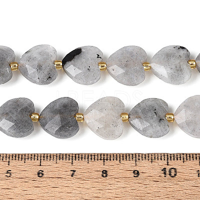Natural Labradorite Beads Strands G-P592-B14-01-1
