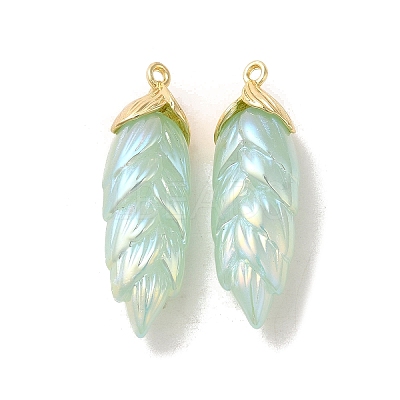 Rainbow Iridescent Plating Resin Pendants RESI-C047-03D-G-1