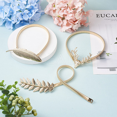 3 Style Curtain Tieback AJEW-CF0001-02LG-1
