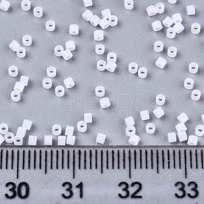 FGB 11/0 Grade A Glass Seed Beads SEED-S030-1141-1
