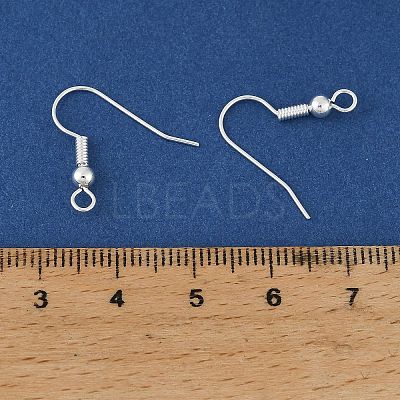 Brass Earring Hooks KK-H258-06A-S-1
