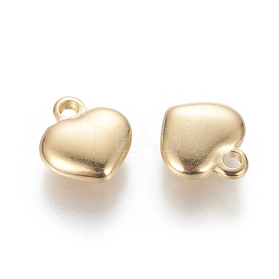 304 Stainless Steel Charms LS-STAS-L233-052G-1